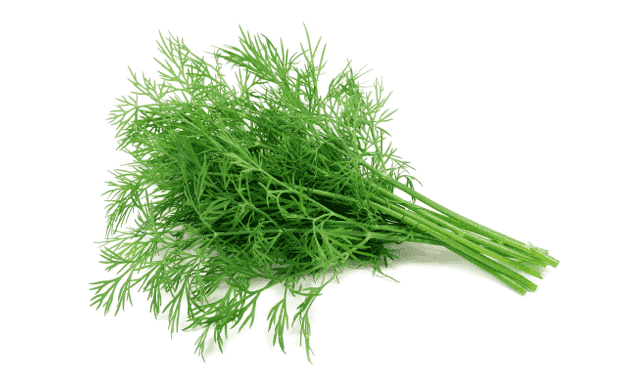DILL