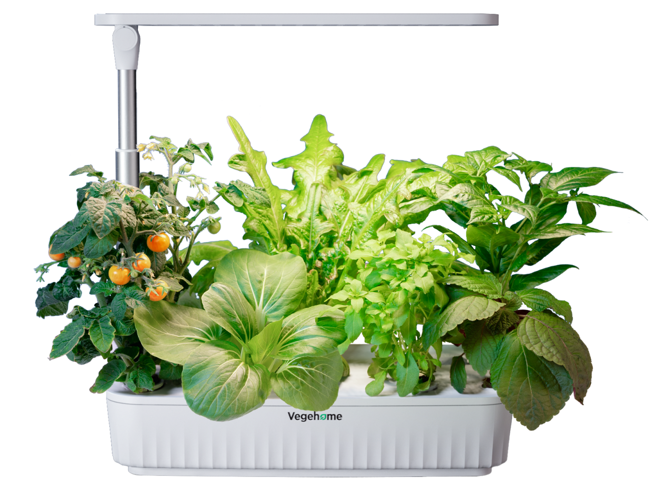 THE JARDIN PRO Vegehome the-jardin-pro-vegehome