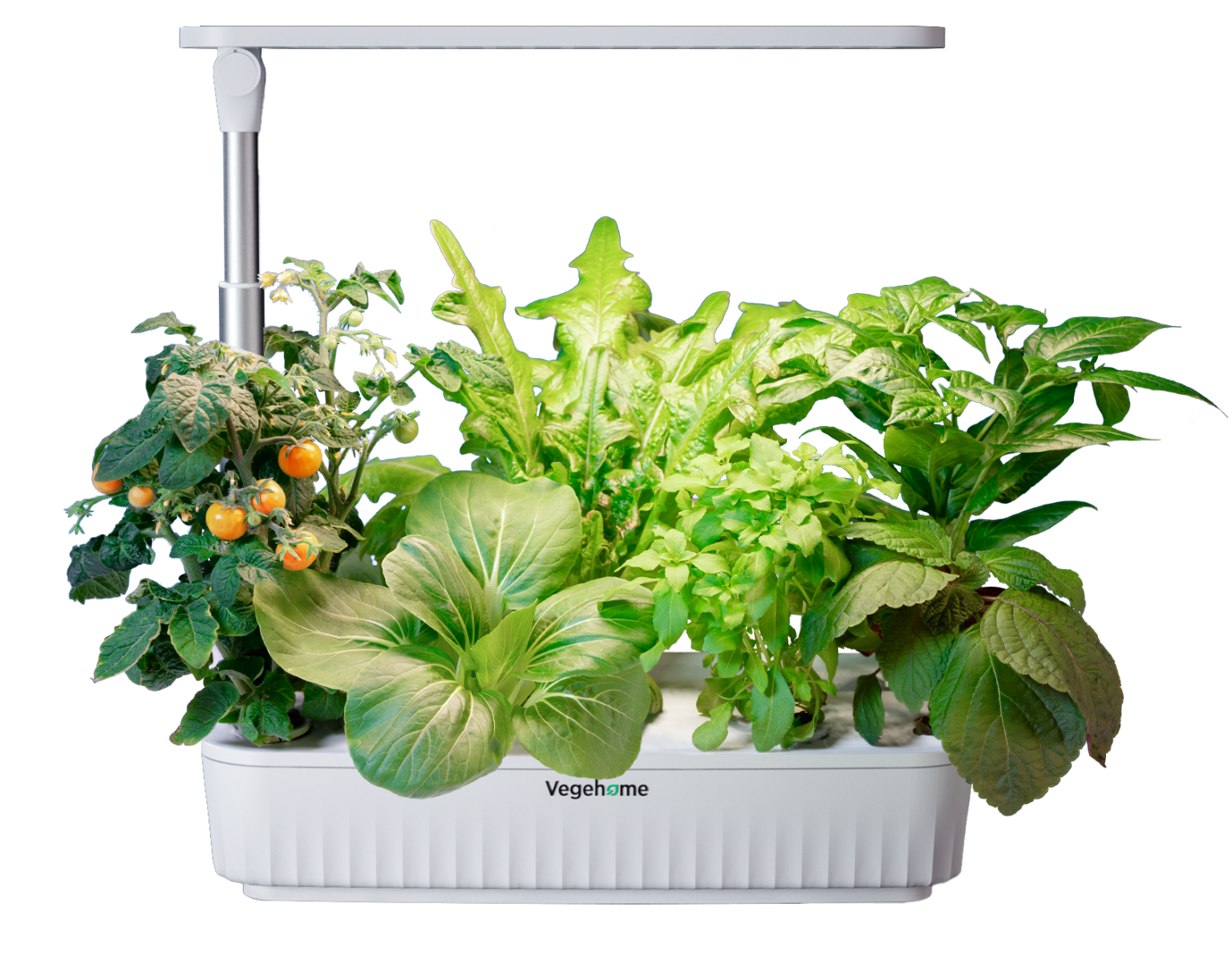 THE JARDIN PRO Vegehome