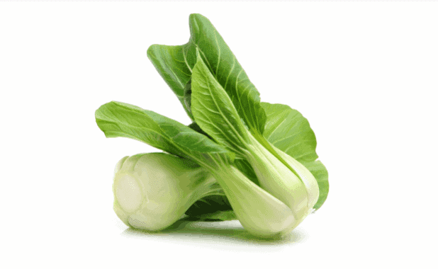 BOK CHOY