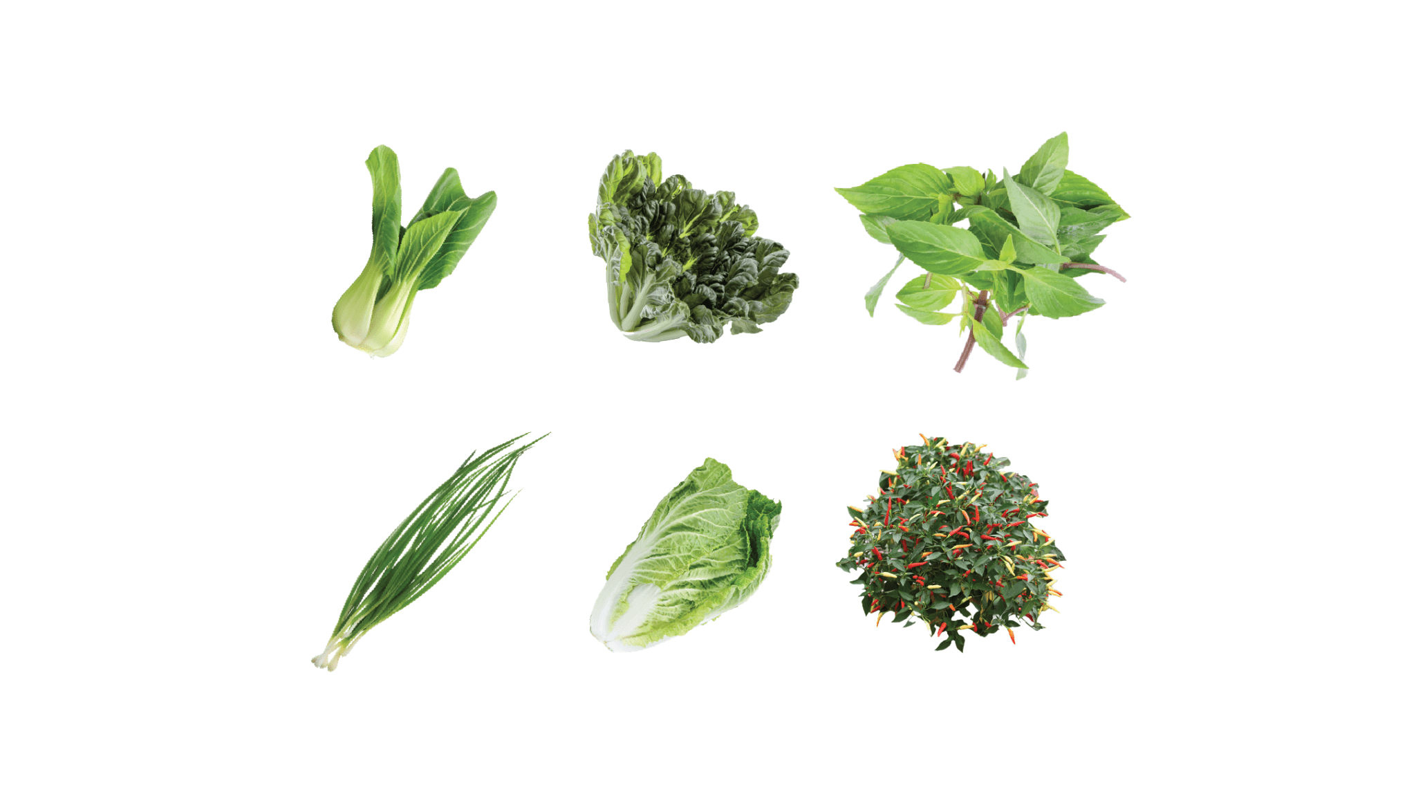 PAQUET POUR LES SAUTÉS