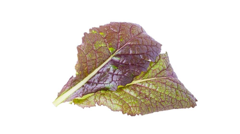 eine firma plant eine neue verpackungsform für schokolade bonbons Happen Marzipan – Klassischer Genuss